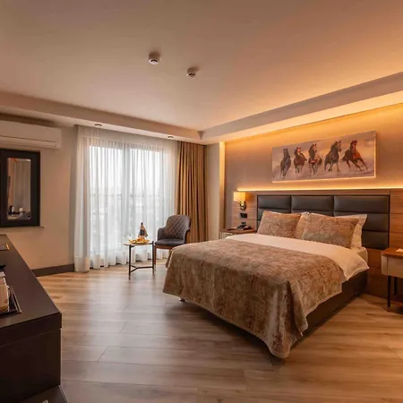 Hotel Asya