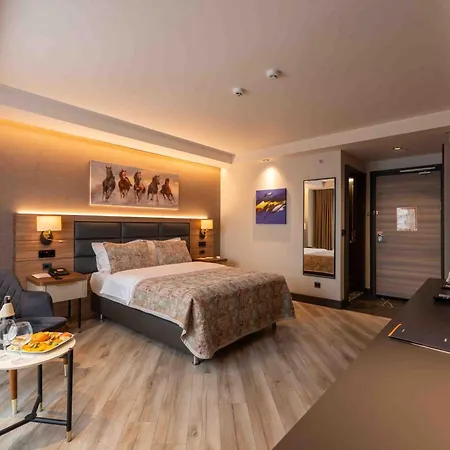 Hotel Asya 3*